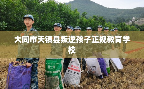 大同市天镇县叛逆孩子正规教育学校 大同市天镇县叛逆孩子正规教育学校