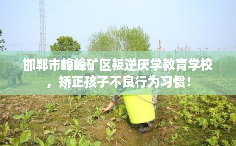 邯郸市峰峰矿区叛逆厌学教育学校，矫正孩子不良行为习惯！