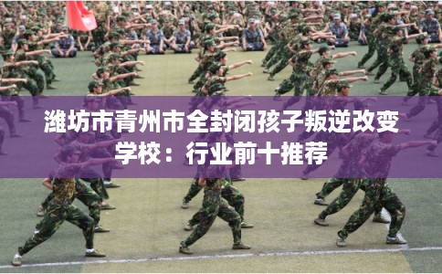 潍坊市青州市全封闭孩子叛逆改变学校：行业前十推荐