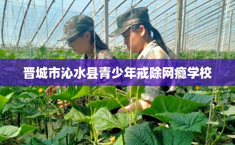 晋城市沁水县青少年戒除网瘾学校