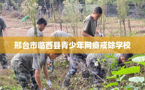 邢台市临西县青少年网瘾戒除学校 邢台市临西县青少年网瘾戒除学校
