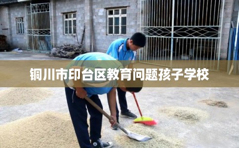 铜川市印台区教育问题孩子学校