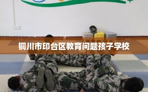 铜川市印台区教育问题孩子学校