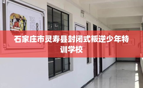 石家庄市灵寿县封闭式叛逆少年特训学校 石家庄市灵寿县封闭式叛逆少年特训学校