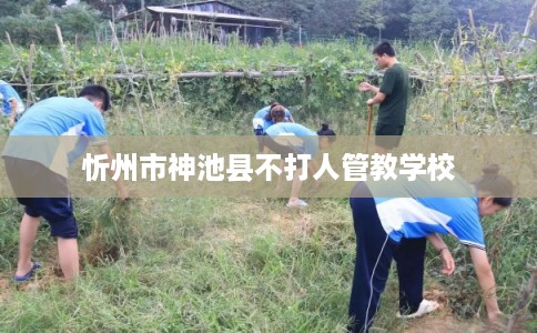 忻州市神池县不打人管教学校