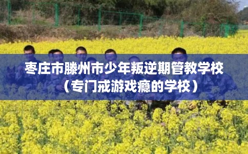 枣庄市滕州市少年叛逆期管教学校(专门戒游戏瘾的学校) 枣庄市滕州市少年叛逆期管教学校(专门戒游戏瘾的学校)