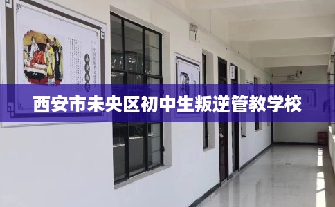 西安市未央区初中生叛逆管教学校