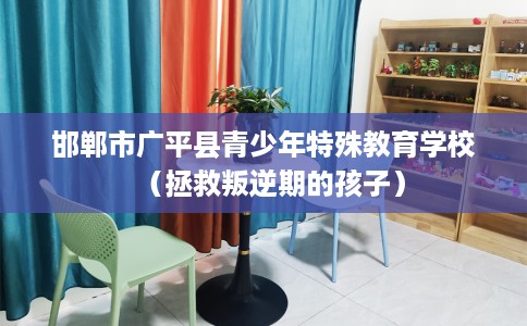 邯郸市广平县青少年特殊教育学校（拯救叛逆期的孩子）