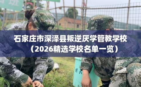 石家庄市深泽县叛逆厌学管教学校(2026精选学校名单一览) 石家庄市深泽县叛逆厌学管教学校(2026精选学校名单一览)