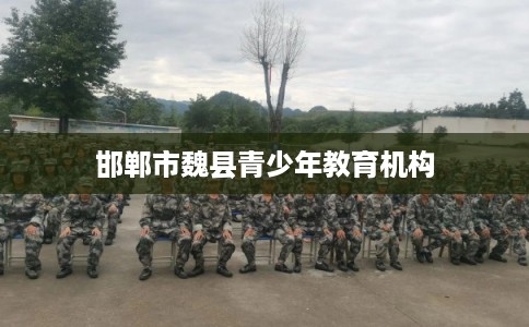 邯郸市魏县青少年教育机构 邯郸市魏县青少年教育机构