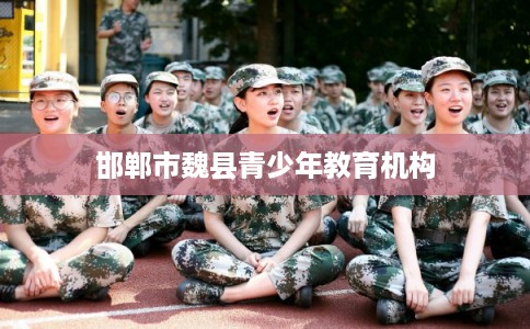 邯郸市魏县青少年教育机构