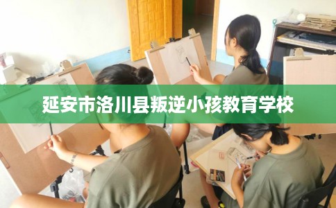延安市洛川县叛逆小孩教育学校 延安市洛川县叛逆小孩教育学校