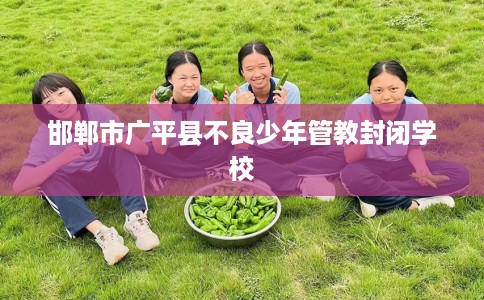 邯郸市广平县不良少年管教封闭学校