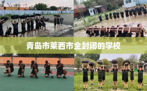 青岛市莱西市全封闭的学校