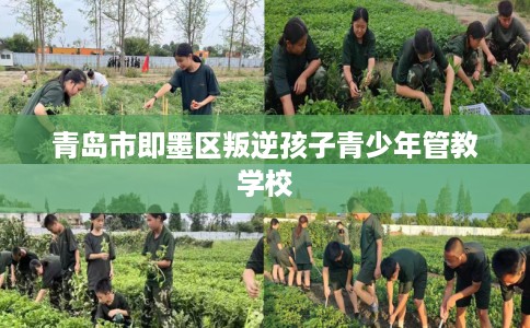 青岛市即墨区叛逆孩子青少年管教学校 青岛市即墨区叛逆孩子青少年管教学校