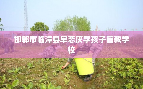 邯郸市临漳县早恋厌学孩子管教学校