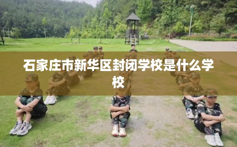 石家庄市新华区封闭学校是什么学校