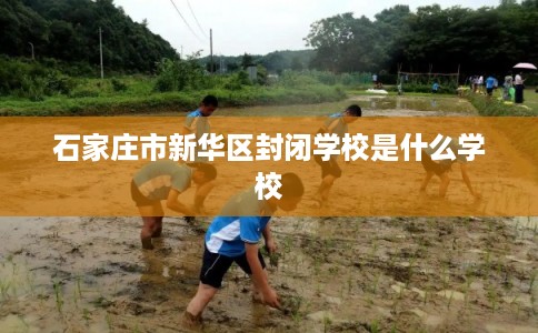 石家庄市新华区封闭学校是什么学校