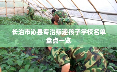 长治市沁县专治叛逆孩子学校名单盘点一览