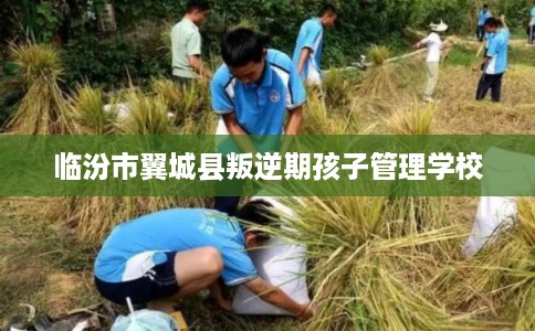 临汾市翼城县叛逆期孩子管理学校