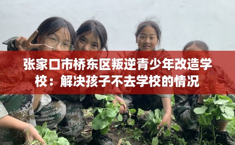 张家口市桥东区叛逆青少年改造学校:解决孩子不去学校的情况 张家口市桥东区叛逆青少年改造学校:解决孩子不去学校的情况
