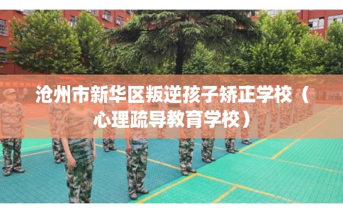 沧州市新华区叛逆孩子矫正学校（心理疏导教育学校）