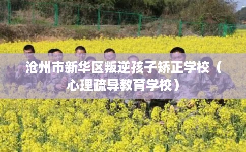 沧州市新华区叛逆孩子矫正学校（心理疏导教育学校）