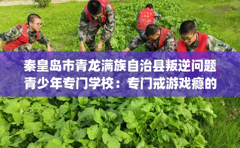 秦皇岛市青龙满族自治县叛逆问题青少年专门学校：专门戒游戏瘾的学校