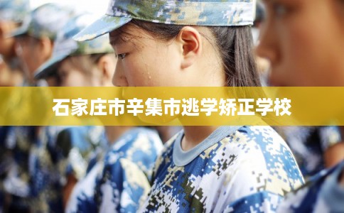 石家庄市辛集市逃学矫正学校 石家庄市辛集市逃学矫正学校