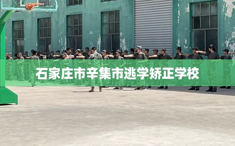 石家庄市辛集市逃学矫正学校 石家庄市辛集市逃学矫正学校