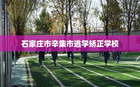 石家庄市辛集市逃学矫正学校 石家庄市辛集市逃学矫正学校