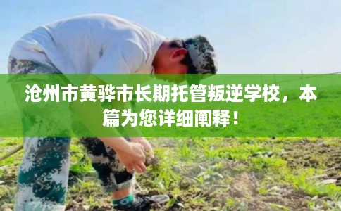 沧州市黄骅市长期托管叛逆学校,本篇为您详细阐释! 沧州市黄骅市长期托管叛逆学校,本篇为您详细阐释!