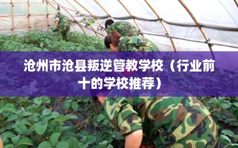 沧州市沧县叛逆管教学校(行业前十的学校推荐) 沧州市沧县叛逆管教学校(行业前十的学校推荐)