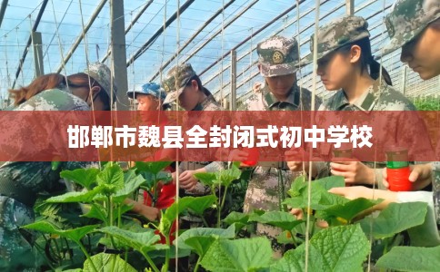 邯郸市魏县全封闭式初中学校