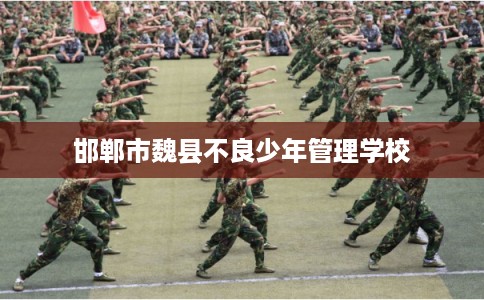 邯郸市魏县不良少年管理学校 邯郸市魏县不良少年管理学校