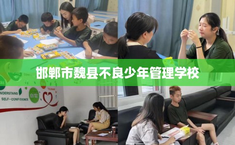 邯郸市魏县不良少年管理学校 邯郸市魏县不良少年管理学校