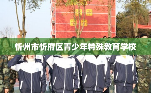 忻州市忻府区青少年特殊教育学校 忻州市忻府区青少年特殊教育学校