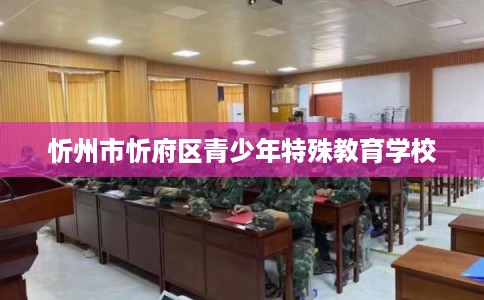 忻州市忻府区青少年特殊教育学校 忻州市忻府区青少年特殊教育学校