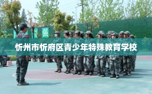 忻州市忻府区青少年特殊教育学校 忻州市忻府区青少年特殊教育学校