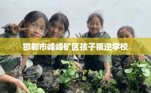 邯郸市峰峰矿区孩子叛逆学校