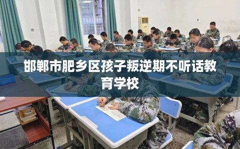 邯郸市肥乡区孩子叛逆期不听话教育学校