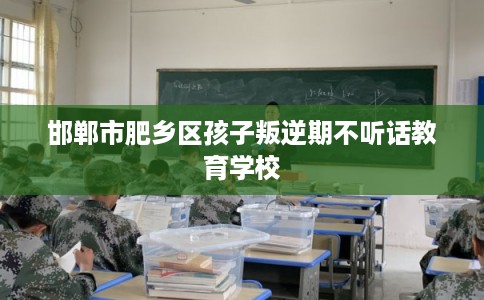 邯郸市肥乡区孩子叛逆期不听话教育学校