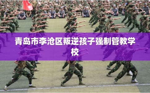 青岛市李沧区叛逆孩子强制管教学校