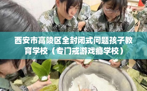 西安市高陵区全封闭式问题孩子教育学校（专门戒游戏瘾学校）