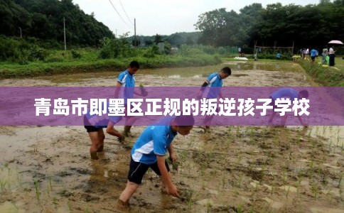 青岛市即墨区正规的叛逆孩子学校 青岛市即墨区正规的叛逆孩子学校