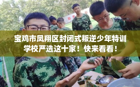 宝鸡市凤翔区封闭式叛逆少年特训学校严选这十家！快来看看！