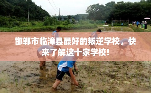 邯郸市临漳县最好的叛逆学校,快来了解这十家学校! 邯郸市临漳县最好的叛逆学校,快来了解这十家学校!