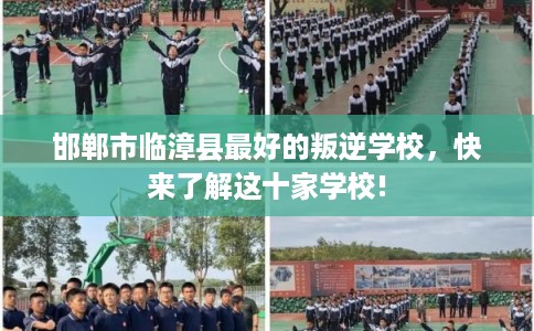 邯郸市临漳县最好的叛逆学校,快来了解这十家学校! 邯郸市临漳县最好的叛逆学校,快来了解这十家学校!