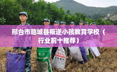 邢台市临城县叛逆小孩教育学校（行业前十推荐）