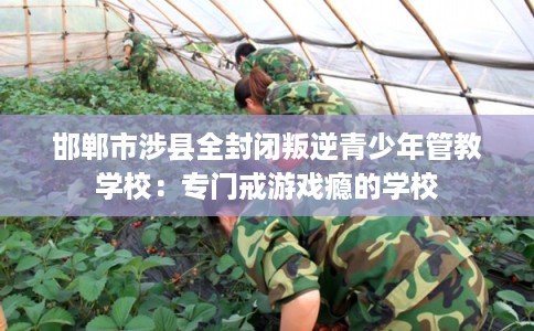 邯郸市涉县全封闭叛逆青少年管教学校：专门戒游戏瘾的学校